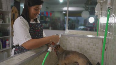 Yerel İşletme Evcil Hayvanı Dükkanı 'nda duş başlığıyla Küçük Köpek' i yıkayan mutlu kadın çalışan.