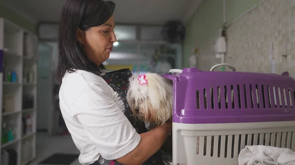 Happy female employee of Pet Shop taking Small Dog out of Cage and preparing for wash