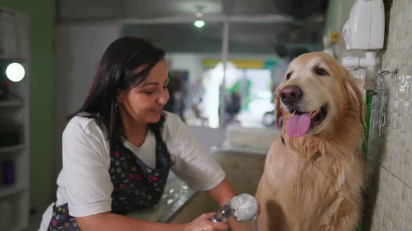 Happy Brazilian Employee Washing Dog at Pet Shop