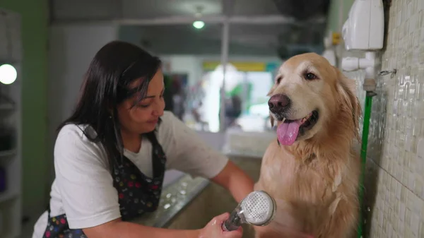 Happy Brazilian Employee Washing Dog at Pet Shop