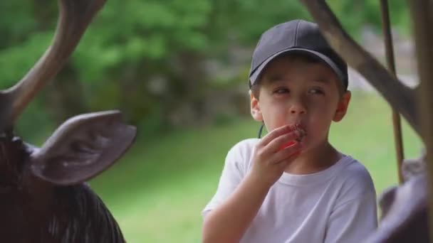 Αγόρι Τρώει Μπισκότο Ενώ Ιππεύει Ένα Καρουζέλ Merry Ride Ride — Αρχείο Βίντεο