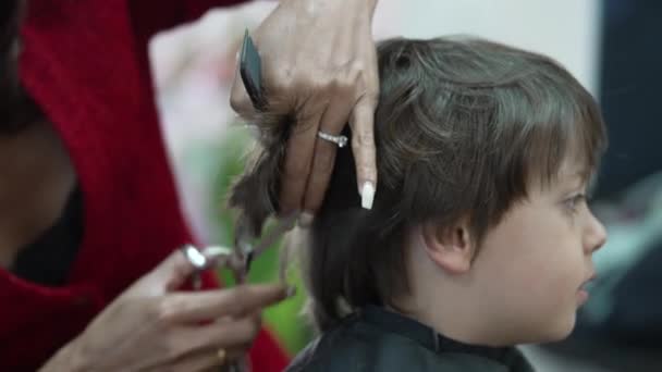 Profesionální Kadeřnice Česání Stříhání Vlasů Malého Chlapce Salonu — Stock video