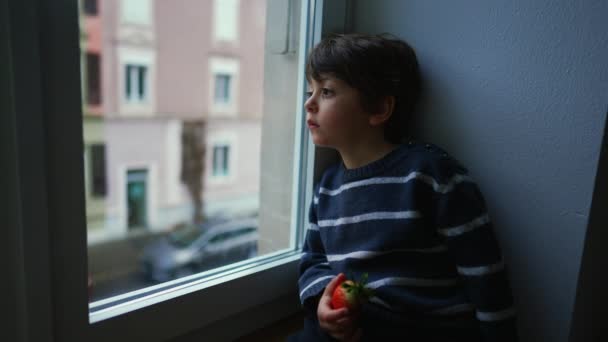 Βαριέμαι Θλιβερό Συναίσθημα Του Μικρού Αγοριού Που Κάθεται Στο Παράθυρο — Αρχείο Βίντεο