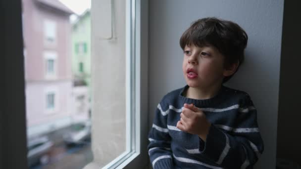 Anak Kontemplatif Makan Buah Berry Dengan Jendela Menatap Pemandangan Dari — Stok Video