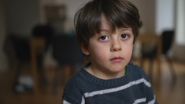 一个4岁男孩近照脸的画像 在屋里用中性的表情看着相机 — 图库视频影像