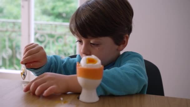 Niño Comiendo Huevo Hervido Suave Con Cuchara Niño Pequeño Agrietando — Vídeos de Stock
