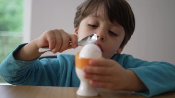 Wstępne Pęknięcie Małych Dłoni Czytających Oeuf Coque Zbliżenie Dziecka Przygotowanie — Wideo stockowe