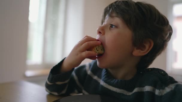 Close Delight Year Old Boy Relishing Bread Snack Indoor Table — Stock Video