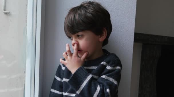Çocuk Burnu Pencere Kenarı Otururken Evden Dışarı Bakıyor — Stok video