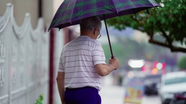 Elinde şemsiyeyle yağmurda yürüyen son sınıf öğrencisinin arkası. Yaşlı yetişkin insan yağmur yağarken kaldırımda geziniyor.