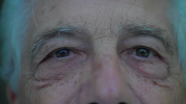 Macro Close Stern Serious Senior Elderly Man Staring Camera Gray — Stock Photo, Image