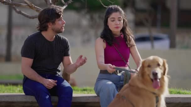 在公园里和他们的金毛猎犬在一起聊天的狗夫妇 — 图库视频影像