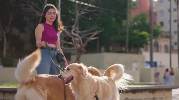 Жінка Стоїть Надворі Парку Своїми Золотими Собаками Ретриверами Людина Тримає — стокове відео