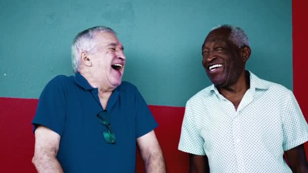 Afroamerikan Äldre Och Vit Äldre Man Spontant Skratta Och Samtidigt — Stockvideo
