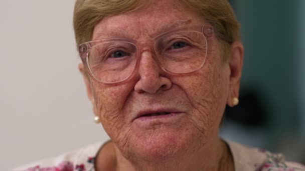 Senior Woman Engaging Webcam Chat Family Webcam Pov Person Speaking — стоковое видео