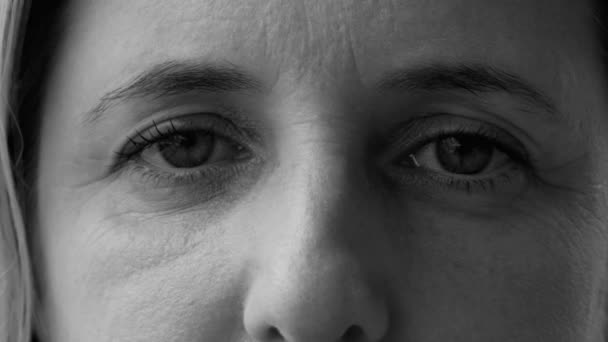 Dramaattinen Makro Lähikuva Henkilön Silmät Tuijottaa Kameraa Vakava Ilme Yksivärinen — kuvapankkivideo