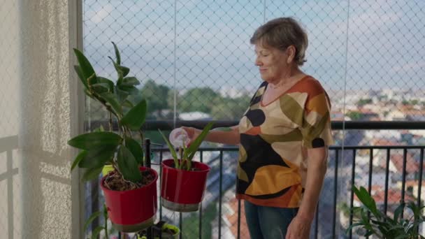 Seniorin Gießt Pflanze Auf Wohnungsbalkon Und Verkörpert Häuslichen Lebensstil — Stockvideo