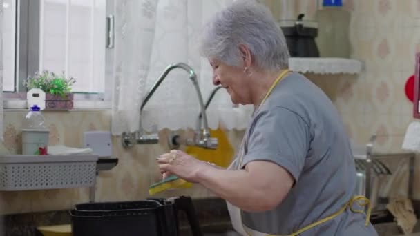 キッチンシンクのエプロンで笑顔のシニアウーマン 国内活動中の候補者の肖像画 — ストック動画