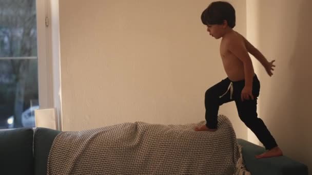 Criança Entusiasmada Saltando Para Sofá Cena Estilo Vida Interior Candid — Vídeo de Stock