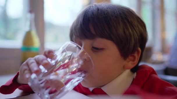 Ребенок Пьет Воду Стеклянной Чашке Мальчик Увлажняющий Себя Лицо Крупным — стоковое видео