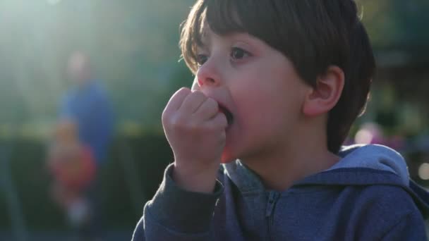子供は公園の遊び場で秋の太陽の下でベーキングしながらイチゴのフルーツスナックを食べる — ストック動画