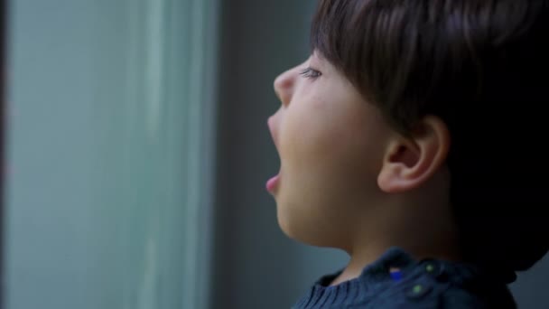 Παιδί Αναπνέει Αέρα Στο Τζάμι Του Παραθύρου Δημιουργώντας Συμπύκνωση Παιχνιδιάρικη — Αρχείο Βίντεο