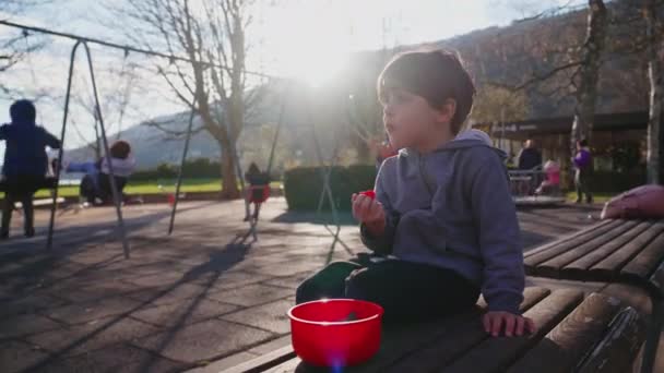 Malý Chlapec Sedící Parku Pozorující Okolí Dítě Vychutnává Jídlo Občerstvení — Stock video
