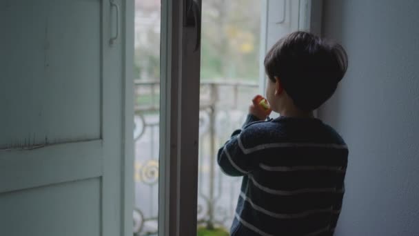 Spojrzenie Kontemplacyjne Młody Chłopiec Snacking Przez Okno Mieszkania Zamyślone Dzieciństwo — Wideo stockowe