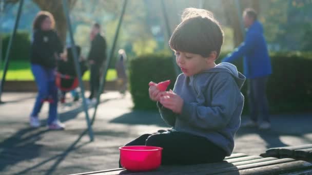 Мальчик Перекусывает Клубникой Скамейке Парке Дети Едят Ягоды Открытом Воздухе — стоковое видео