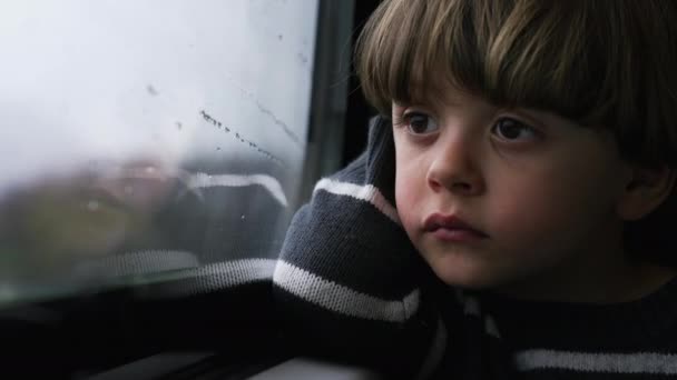 電車の窓をじっと見ている思いやりのある子供 1人の乗客の子供が熟考に座っていた 移動中の交通機関の中を移動する可愛い小さな男の子 — ストック動画