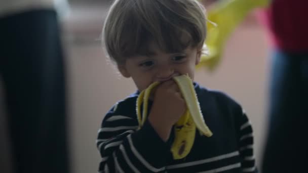 小男孩喜欢香蕉 坦率的特写金发碧眼的孩子喜欢健康的水果点心 — 图库视频影像