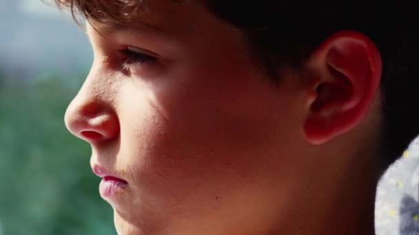 Kontemplativní Mladý Chlapec Cestuje Autobusem Profil Detailní Tvář Spolujezdce Vážným — Stock video