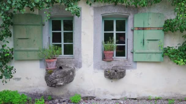 Dwa Okna Domku Staroświecka Tradycyjna Architektura Wiejskiej Rezydencji Osobliwy Szczegół — Wideo stockowe