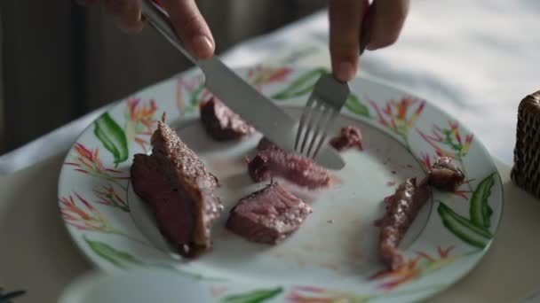Primo Piano Taglio Mano Pezzi Carne Sul Piatto Persona Che — Video Stock