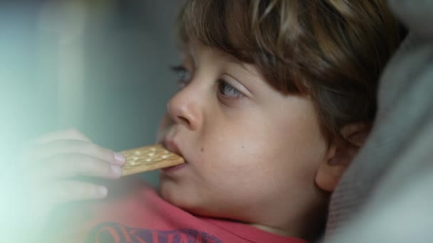 クッキーをスナックする小さな男の子のクローズアップ顔 スナックのための甘いお菓子を食べる子供 — ストック動画