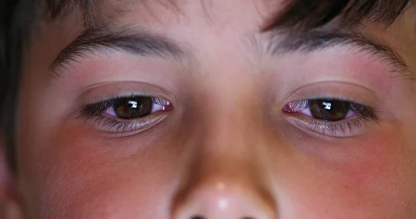 Boy Eyes Macro Close Watching Content Online Child Staring Blue — Stock Photo, Image