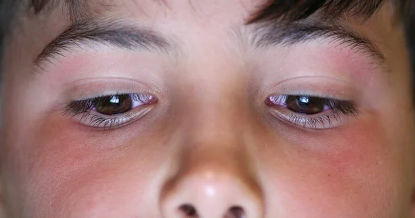 Boy Eyes Macro Close Watching Content Online Child Staring Blue — Fotografia de Stock