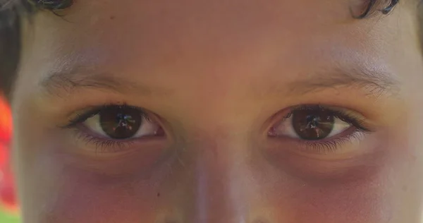 Boy Eyes Looking Camera Close Macro —  Fotos de Stock