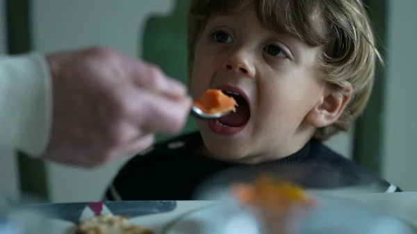 Hand Feeding Food Small Boy Close Face Caucasian Male Child — Stock Photo, Image