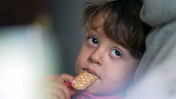 Pensive child eating cookie while laid down on couch, close-up face of small boy snacking sweet treat while in contemplation