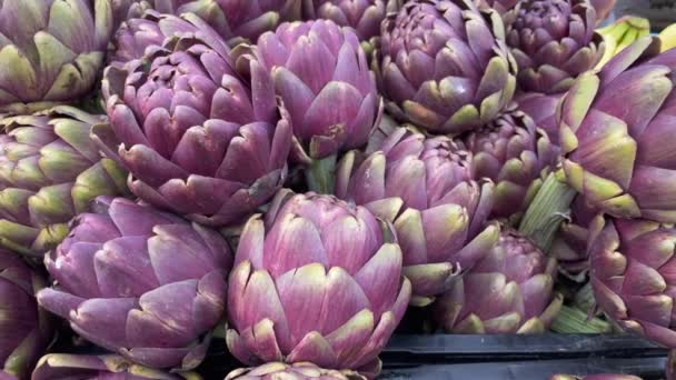 Vegetable Purple Artichokes Display Local Market — Vídeos de Stock