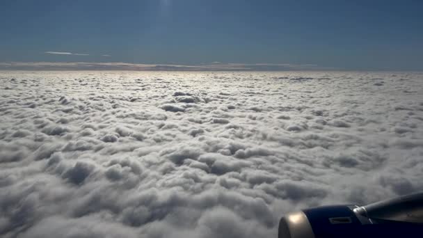 上空高く飛行機の窓から見た雲 — ストック動画