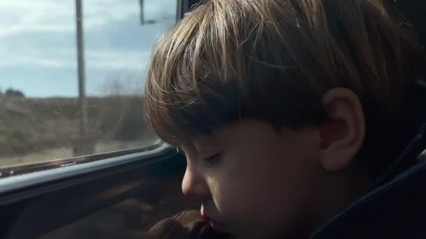 Один Маленький Мальчик Засыпает Время Путешествия Поезде Малыш Спит — стоковое видео