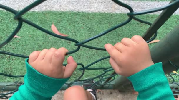 Baby Infant Hands Holding Metal Fence — Stock video