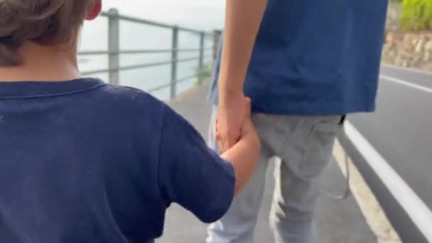 Teen Brother Holding Hand Younger Sibling Protective Family Concept Two — Stockvideo