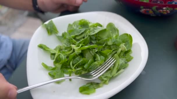 Green Leafy Salad Plate Fork Pure Lettuce — Vídeo de Stock