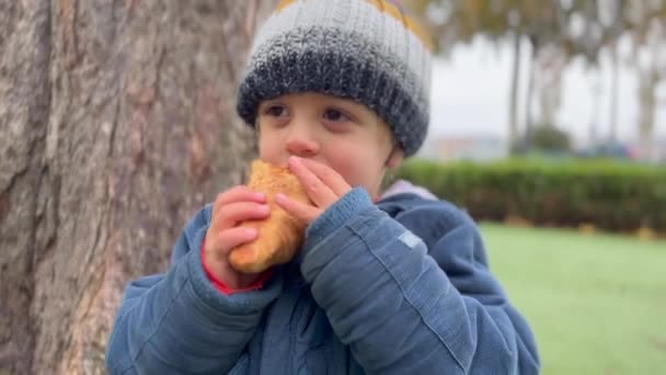Ευτυχισμένο Παιδί Τρώει Ψωμί Κρουασάν Έξω Στο Πάρκο Αγοράκι Που — Αρχείο Βίντεο