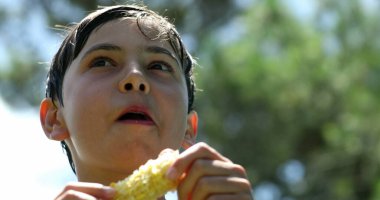 Portrait of child boy eating corn cob outside in nature. Kid eating healthy snack outside