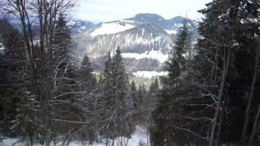 Kar kaplı dağ ormanlarında kayak sezonu tren yolu sahnesi