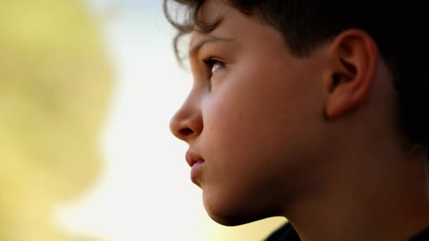 Интроспективный Ребенок Путешествующий Глядя Пейзаж Окна Поезда Мальчик Время Путешествия — стоковое видео